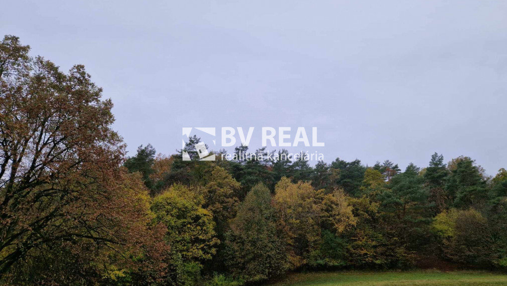 BV REAL Na predaj lesný pozemok Nováky FM2098