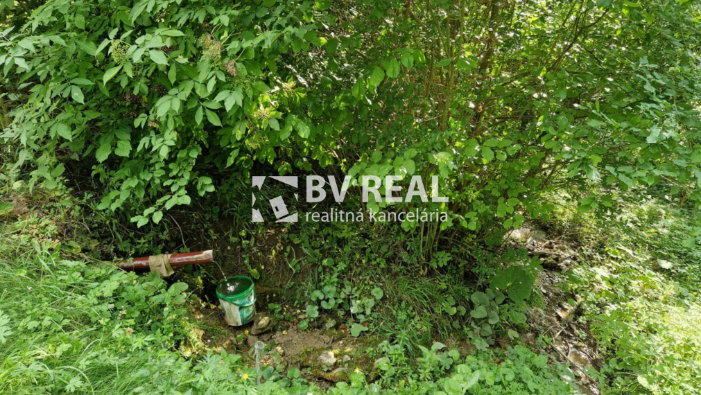 BV REAL Na predaj pozemok 4256 m2 obec Čavoj FM2319