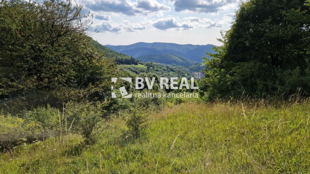 BV REAL Na predaj pozemok 4014 m2 obec Čavoj FM2320