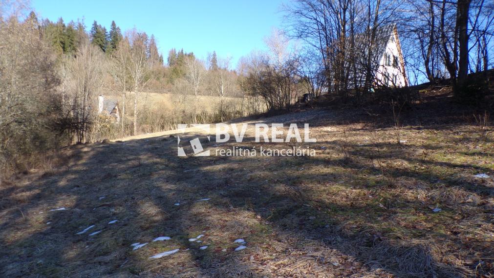 BV REAL Na predaj pozemok obec Čremošné FM1977