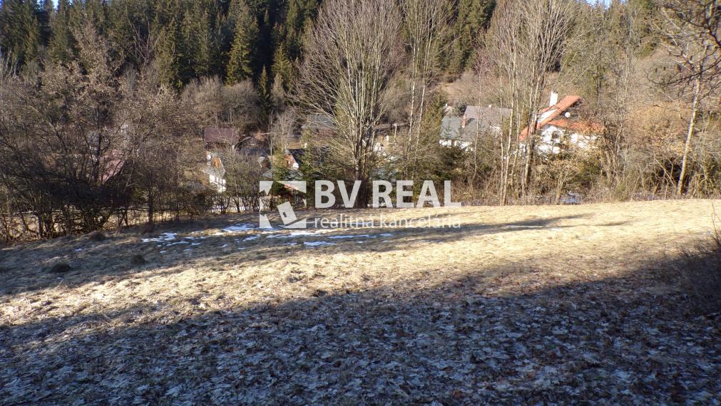BV REAL Na predaj pozemok obec Čremošné FM1977