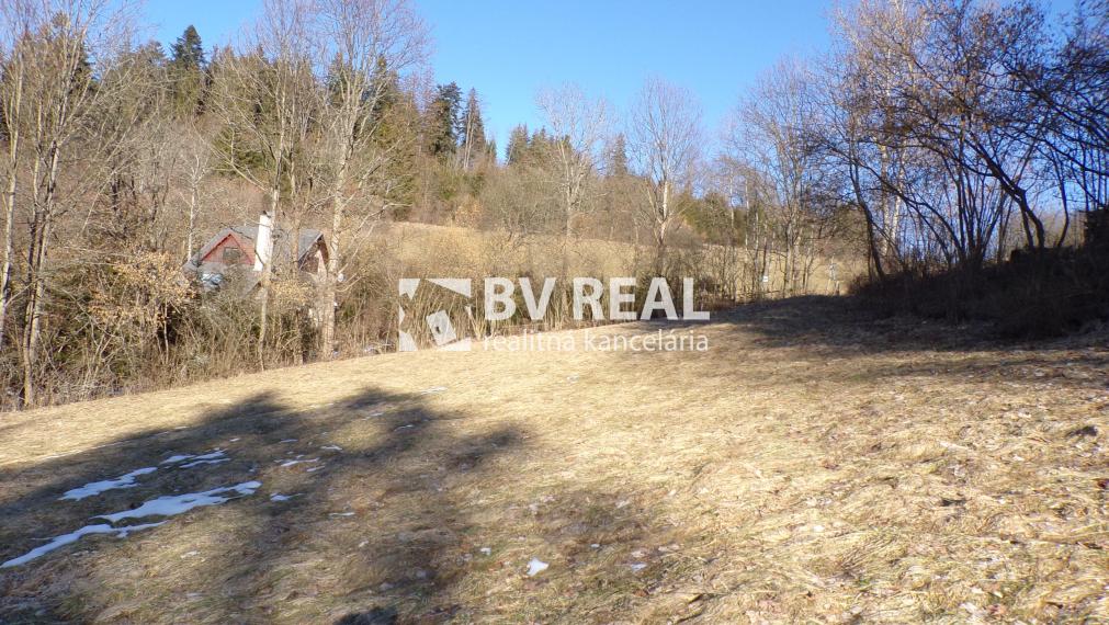 BV REAL Na predaj pozemok obec Čremošné FM1977
