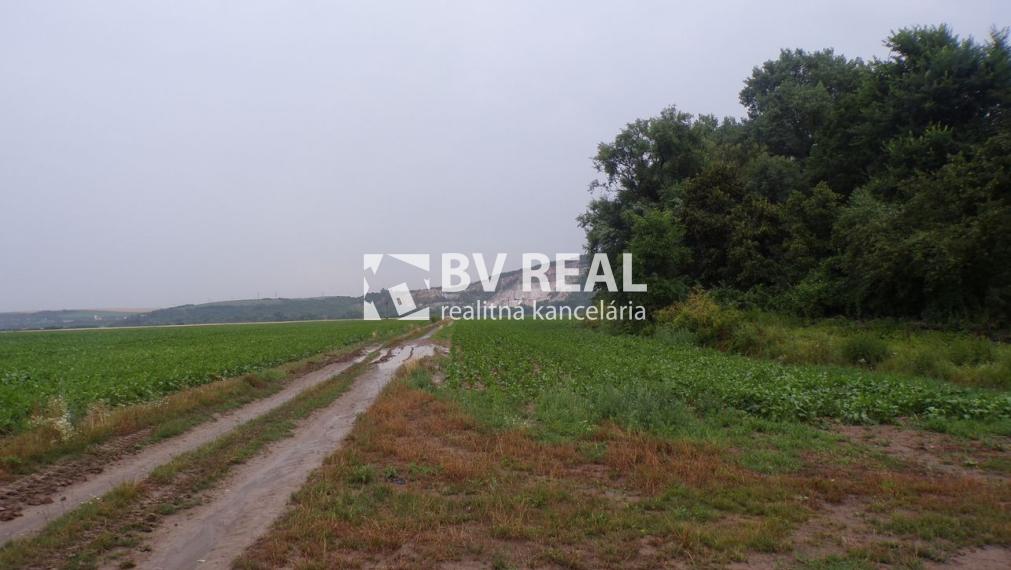 BV REAL Na predaj pozemok 1565 m2 Oslany FM2218