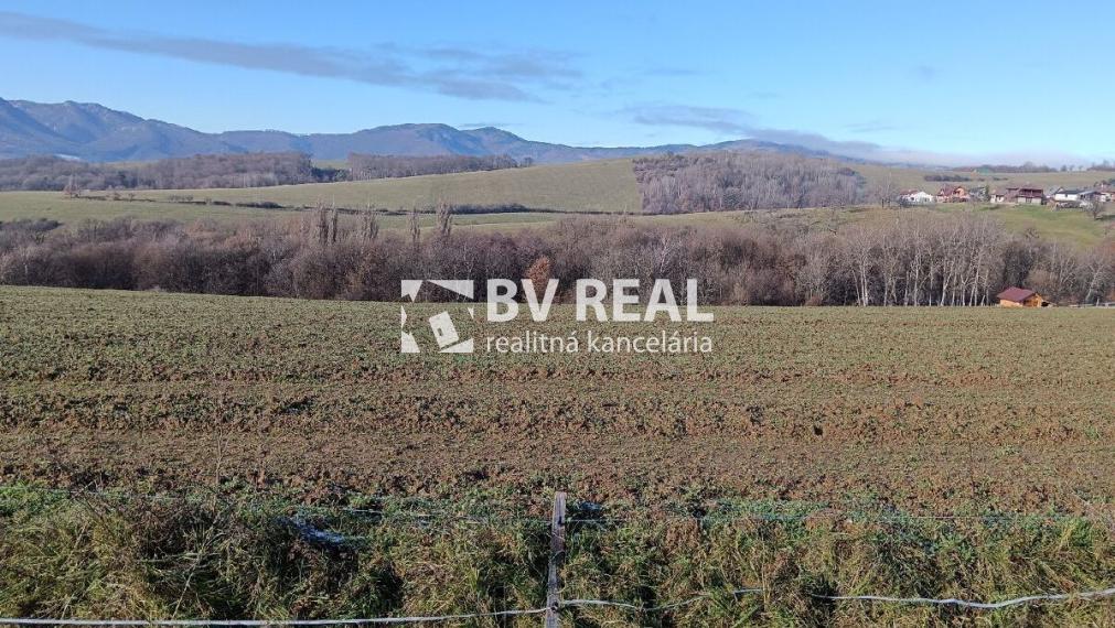 BV REAL Na predaj 2 pozemky obec Šútovce FM2384