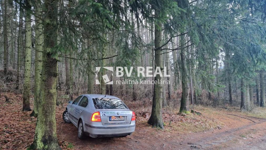 BV REAL chata so záhradou Handlová FM2369