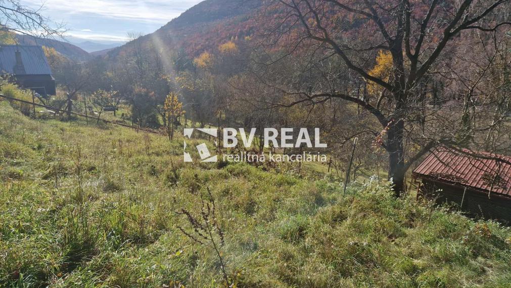 BV REAL predaj zrubová chata Bartošová Lehôtka FM2357