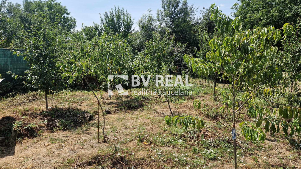 BV REAL Na predaj 2 rodinné domy obec Rybany FM2171