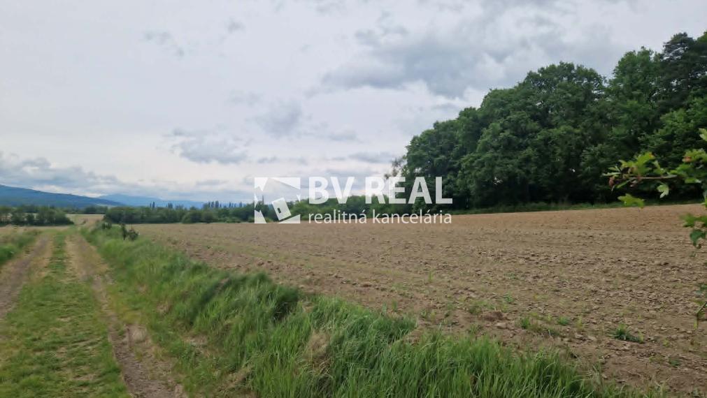 BV REAL Na predaj pozemok Nováky FM2455