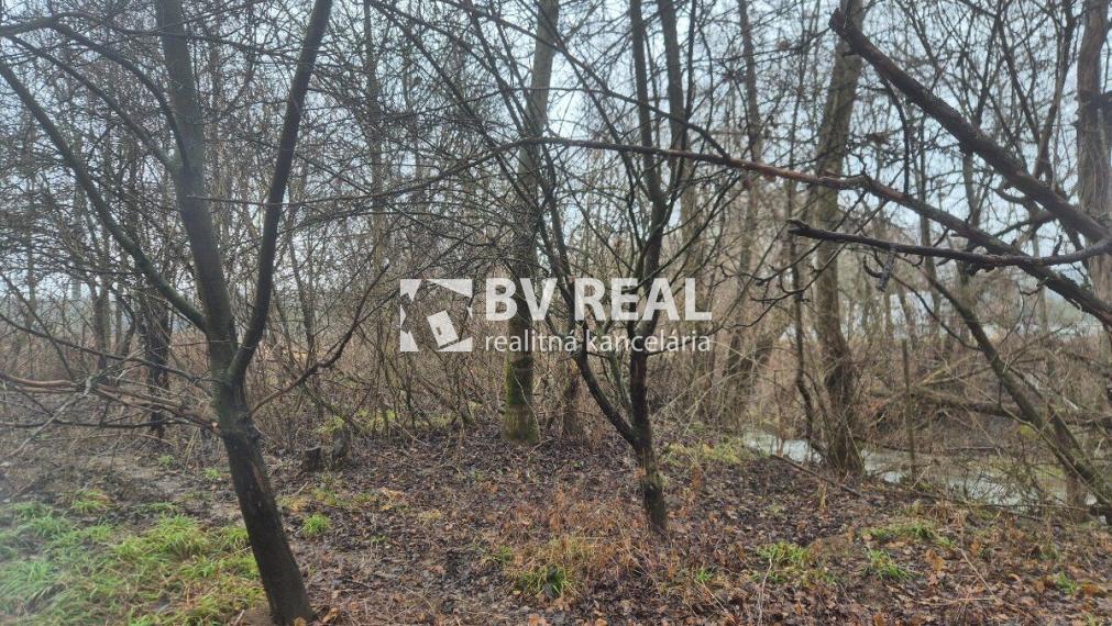 BV REAL Na predaj pozemok obec Liešťany FM2460