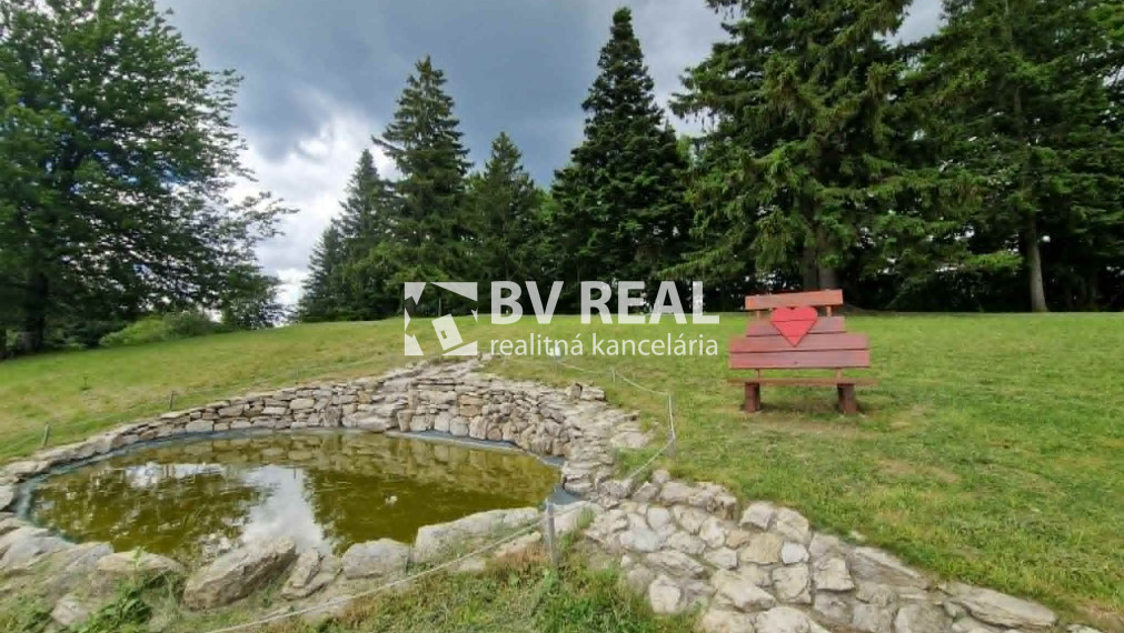BV REAL Na predaj pozemok obec Čremošné FM1977
