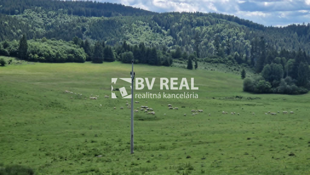 BV REAL Na predaj pozemok obec Čremošné FM1977