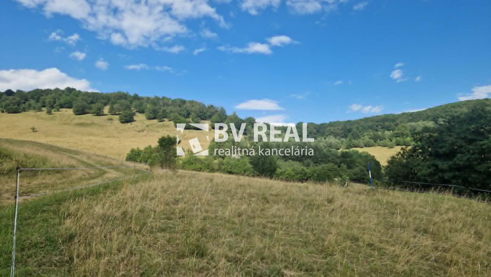 BV REAL Na predaj pozemok obec Šútovce FM2491