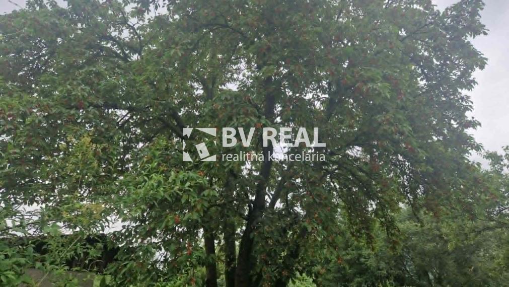 BV REAL na predaj chatka so záhradou Partizánske FM2484