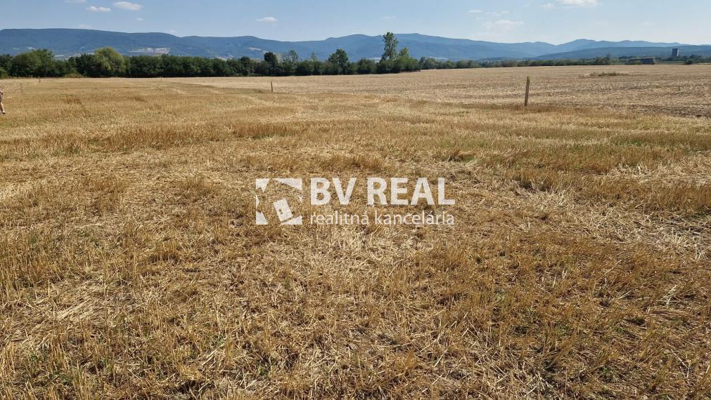 BV REAL Na predaj investičný pozemok obec Koš FM2510