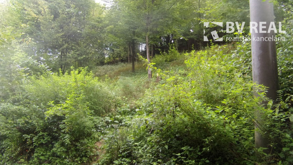 PREDANÉ BV REAL Predaj pozemku 3391 m2 Vyhne KJ1043