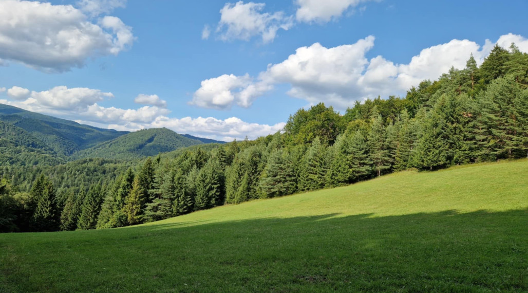 BV REAL Na predaj pozemok 4011 m2 obec Čavoj FM2317