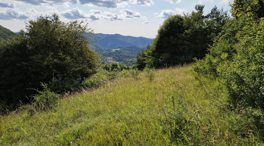 BV REAL Na predaj pozemok 4014 m2 obec Čavoj FM2320