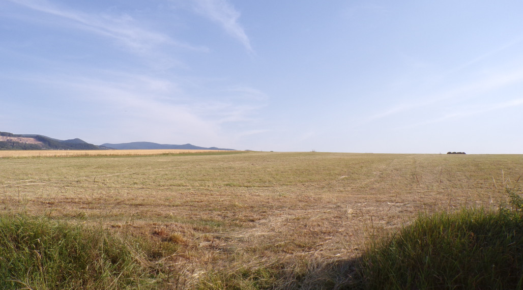 BV REAL na predaj pozemok Nováky FM1926