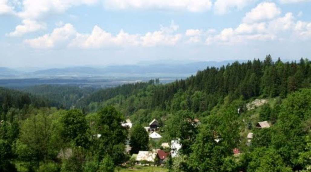 BV REAL Na predaj pozemok obec Čremošné FM1977