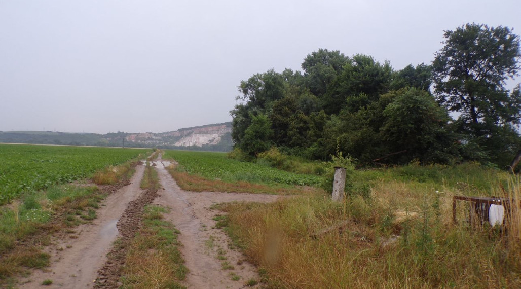 BV REAL Na predaj pozemok 1565 m2 Oslany FM2218