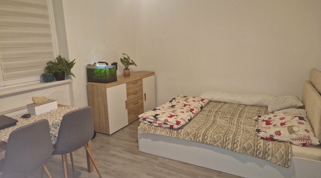 BV REAL Na predaj 1 izbový byt obec Janova Lehota FM2390