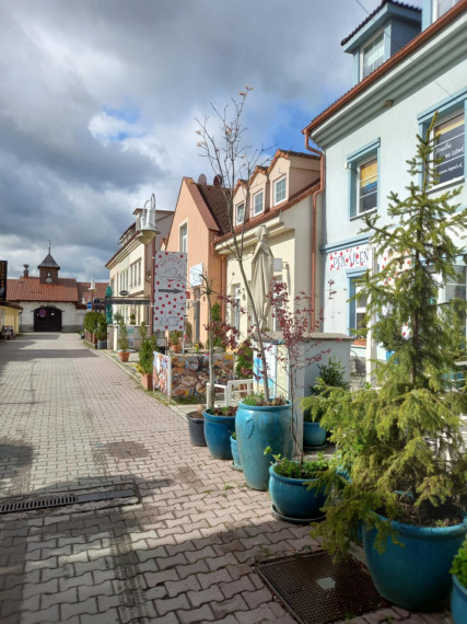 BV REAL Na predaj polyfunkčný objekt Bojnice FM2397