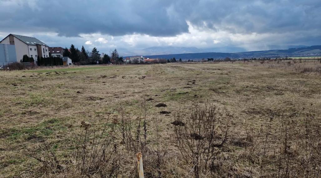 BV REAL Na predaj pozemok obec Koš okres Prievidza FM2411