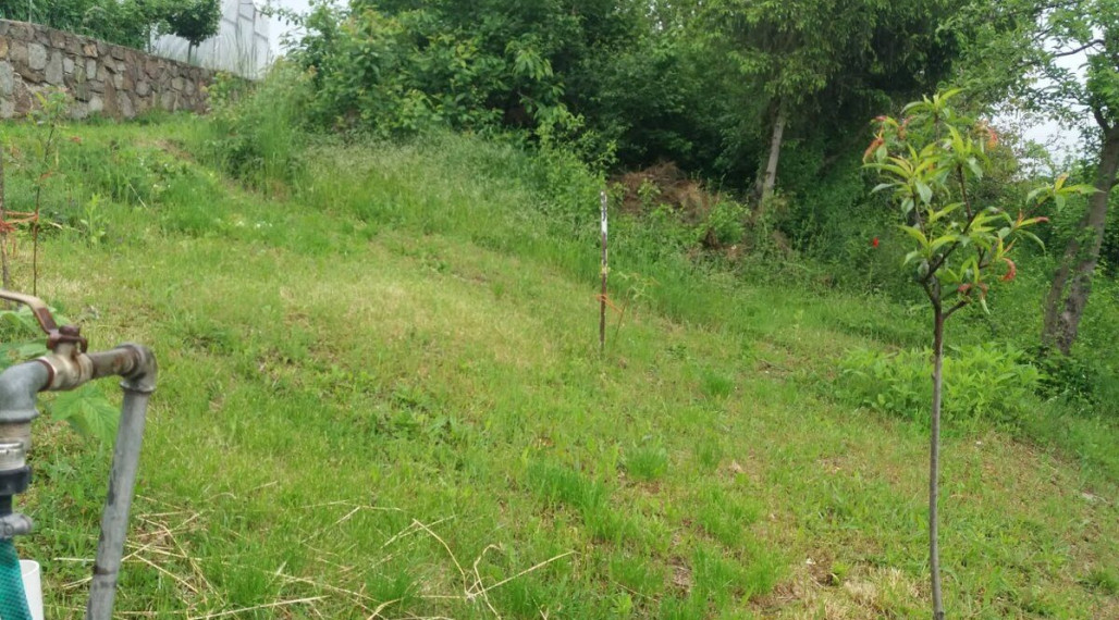 BV REAL na predaj záhrada záhr. osada Malé Kršteňany FM2494