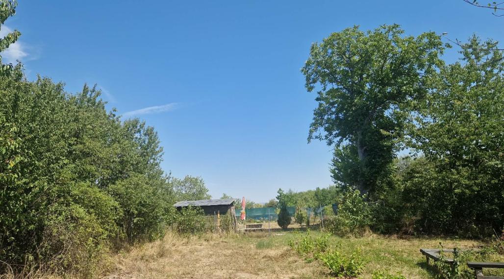 BV REAL Na prenájom pozemok obec Koš okres Prievidza FM2505