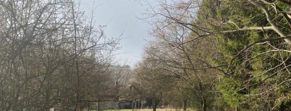 BV REAL Na predaj pozemok obec Sklené FM2164