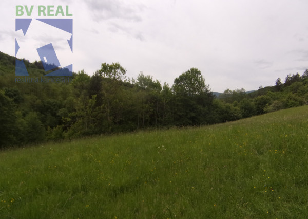PREDANÉ BV REAL Predaj pozemkov Vyhne KJ1027