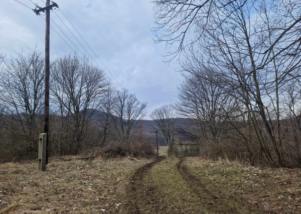PREDANÉ BV REAL pozemok na chatu obec Veľké Pole FM1914