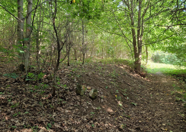 BV REAL Na predaj pozemok 4256 m2 obec Čavoj FM2319