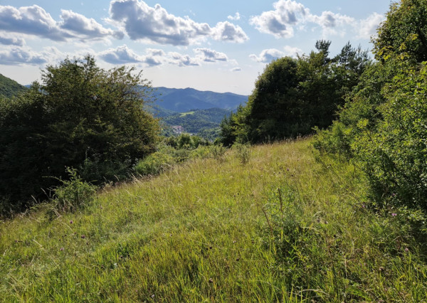 BV REAL Na predaj pozemok 4014 m2 obec Čavoj FM2320