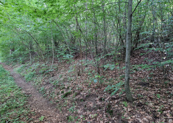 BV REAL Na predaj pozemok 5001 m2 obec Čavoj FM2321