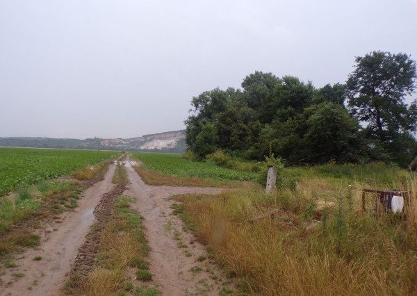 BV REAL Na predaj pozemok 1565 m2 Oslany FM2218