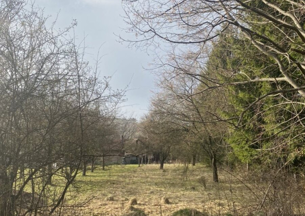 BV REAL Na predaj pozemok obec Sklené FM2164