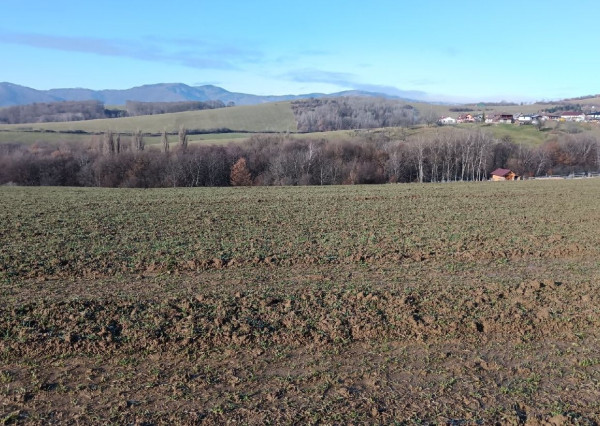 BV REAL Na predaj 2 pozemky obec Šútovce FM2384