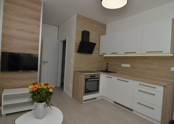 BV REAL Na prenájom 1 izbový byt Bánovce nad Bebravou FM2401