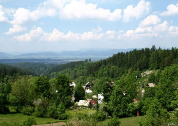 BV REAL Na predaj pozemok obec Čremošné FM1977
