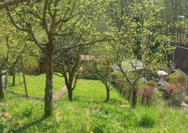 BV REAL Na predaj záhrada Handlová FM2485